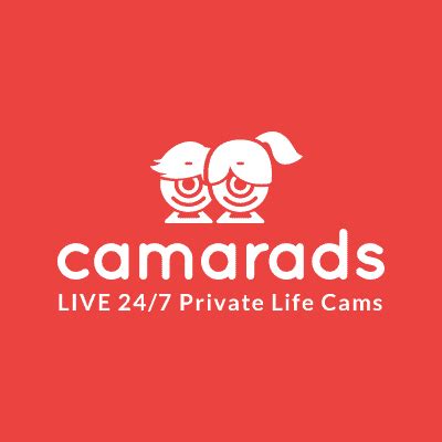 reallifec|Camarads • Watch the private life of other people live